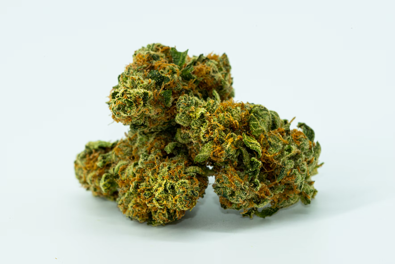 Cannabis buds