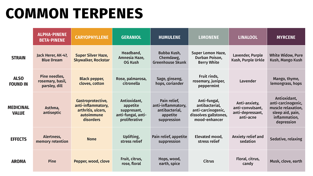 Chart explaining a few of the most common terpenes, the strains you can find them in, and their effects